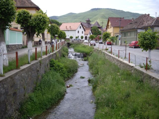 Heltauer Treffen 2013