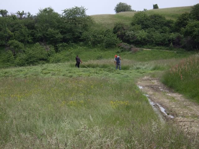 Heltauer Treffen 2013