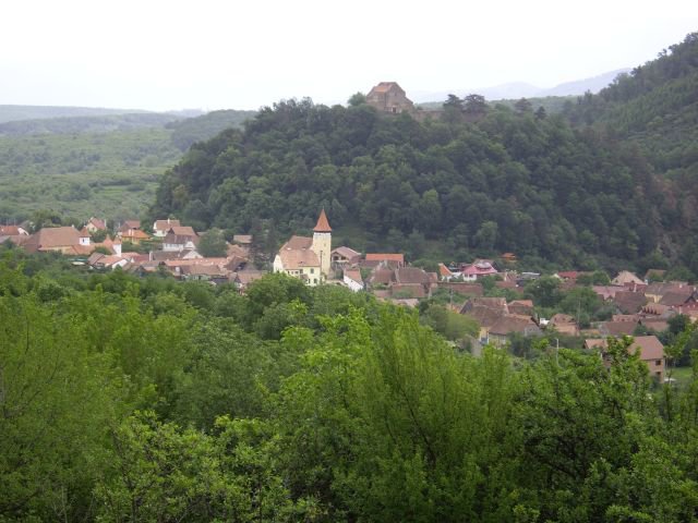Heltauer Treffen 2013