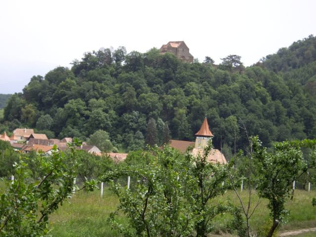 Heltauer Treffen 2013