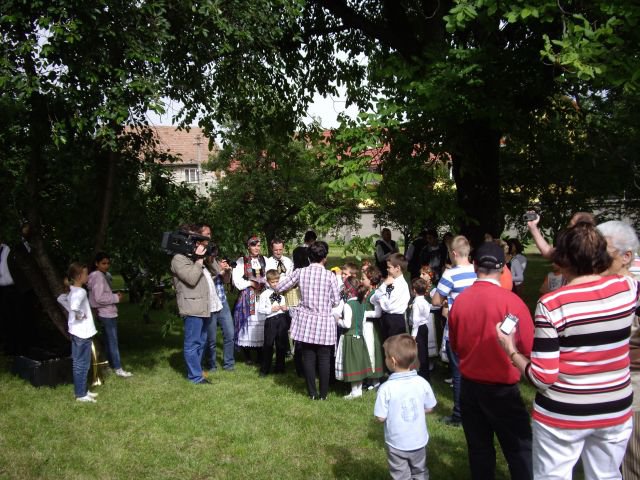 Heltauer Treffen 2013