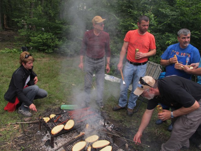 Heltauer Treffen 2013