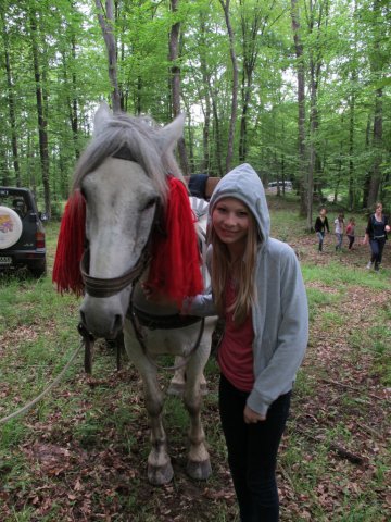 Heltauer Treffen 2013