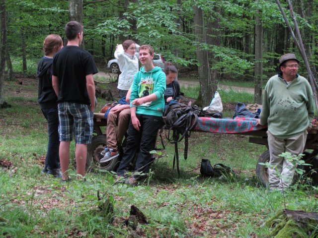 Heltauer Treffen 2013