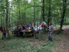 Heltauer Treffen 2013