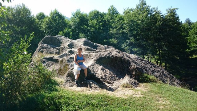 Heltauer Treffen 2017