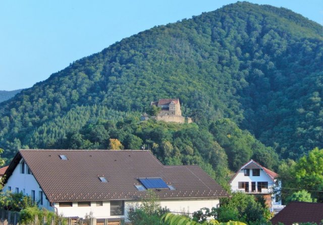 Heltauer Treffen 2017