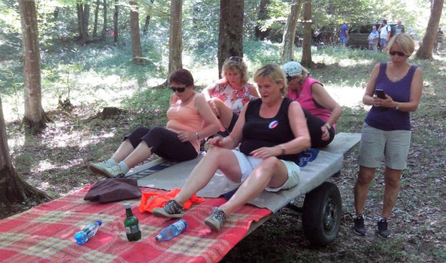 Heltauer Treffen 2017