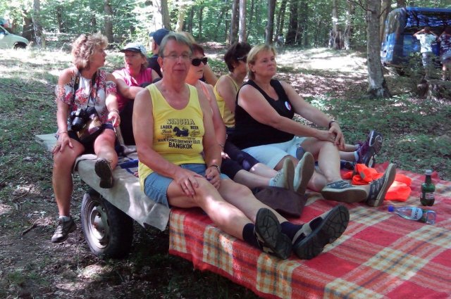 Heltauer Treffen 2017