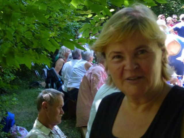 Heltauer Treffen 2017