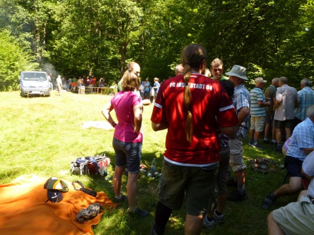 Heltauer Treffen 2017