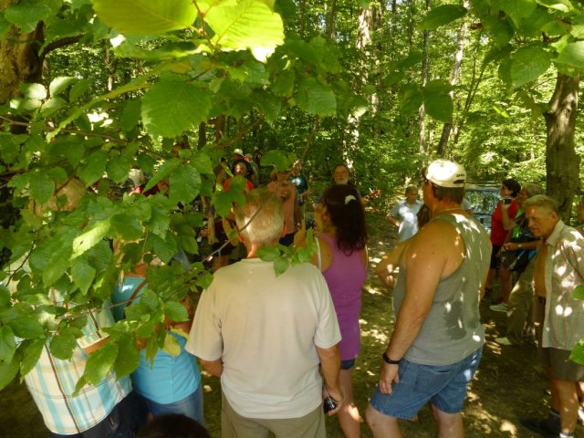 Heltauer Treffen 2017