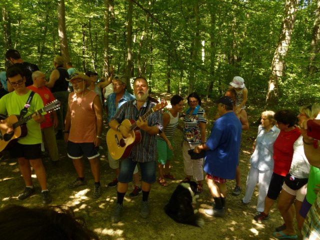 Heltauer Treffen 2017