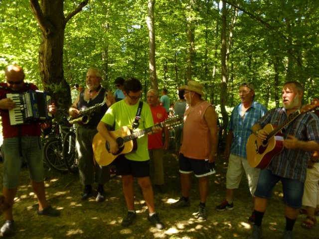 Heltauer Treffen 2017